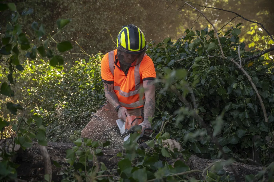 All About Arboriculture Marketing
